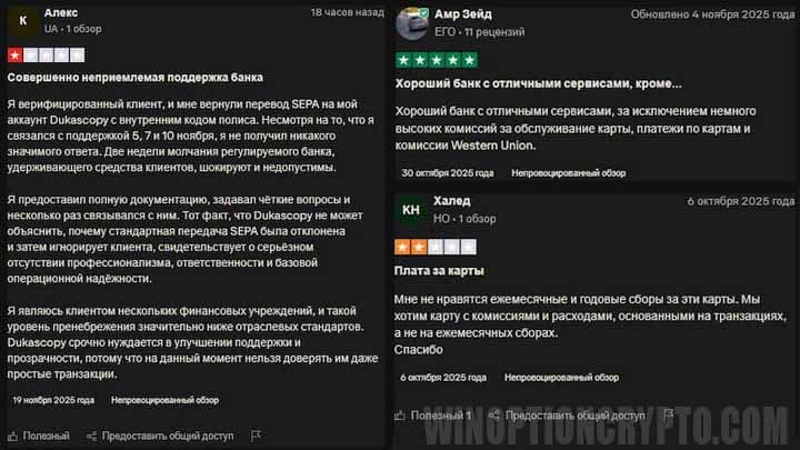 отзывы в сети