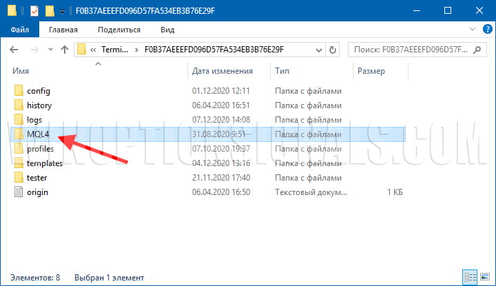 папка mql4