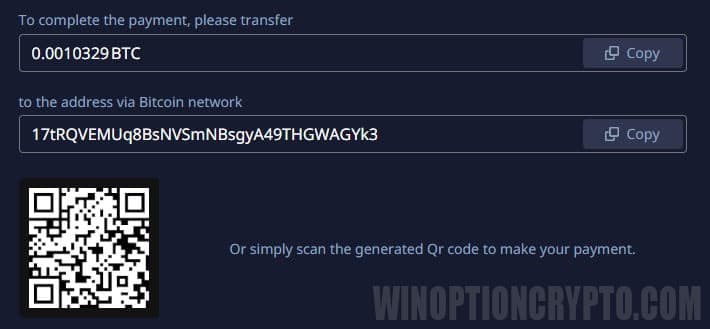 copiando la dirección bitcoin