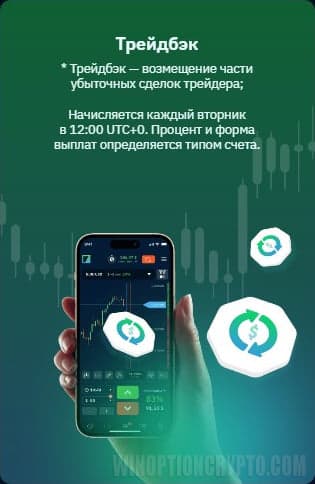 трейдбэк вип счета