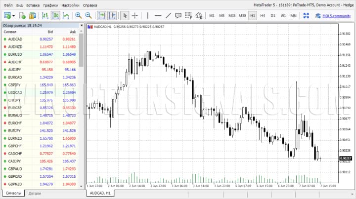 мт5 веб версия