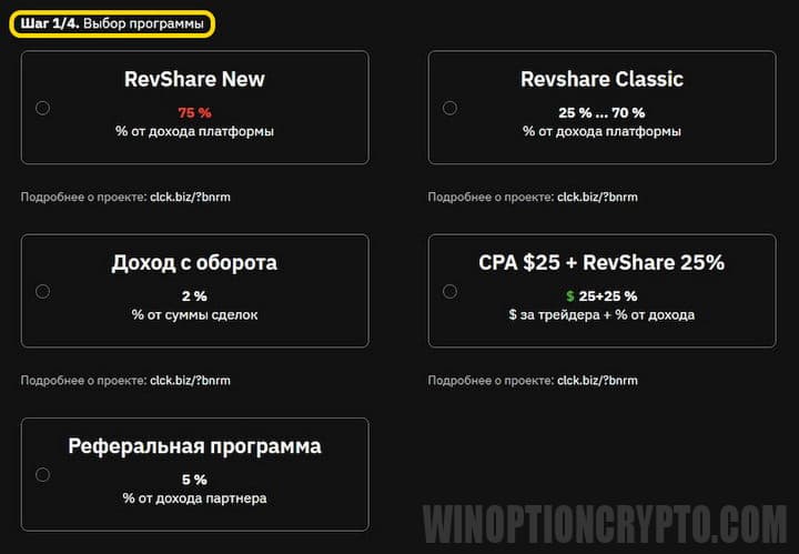 выбор партнерской программы