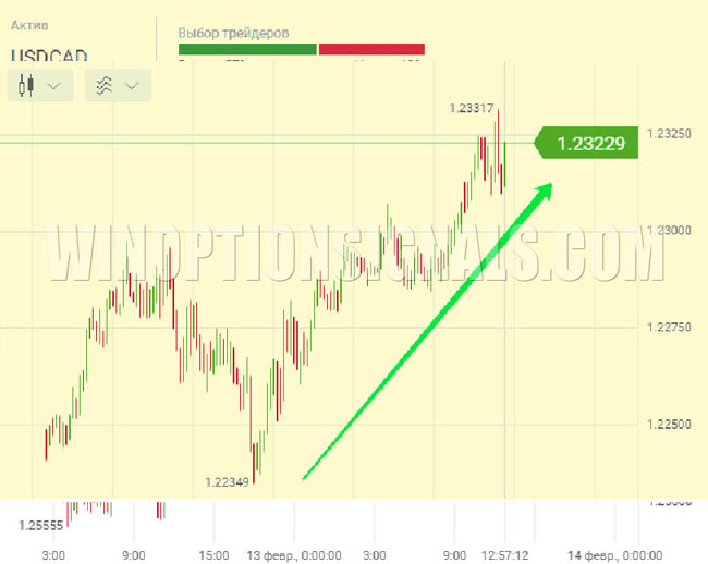 Экспресс-опционы