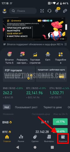 кошелек в приложении бинанс