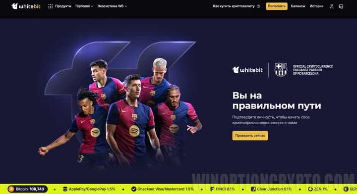 превью к статье