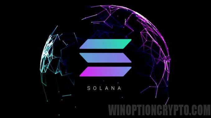криптовалюта solana