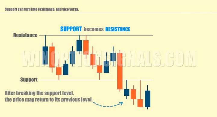 cryptocurrency chart