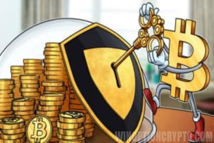 образное изображение криптокошелька