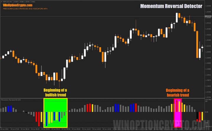 color indication in Momentum Reversal Detector