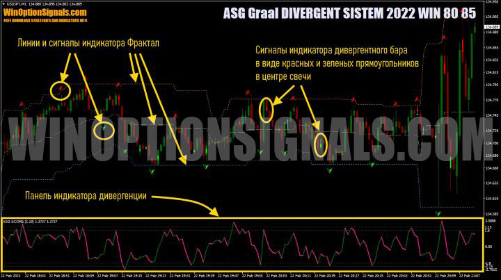 фрактал ASG Graal DIVERGENT SISTEM