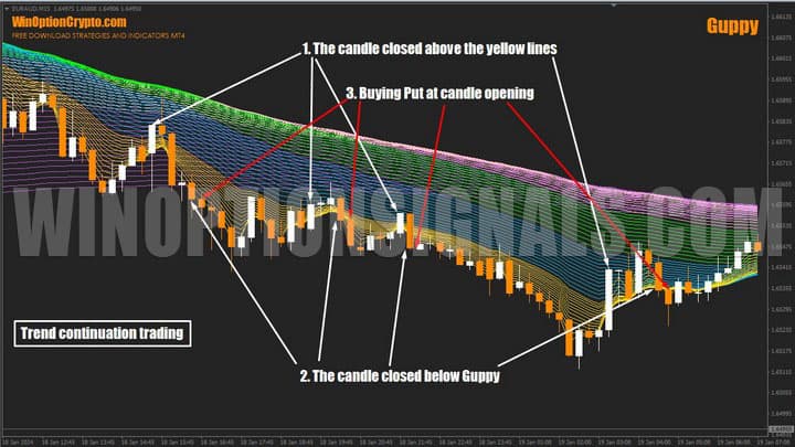 continuación de la tendencia en guppy